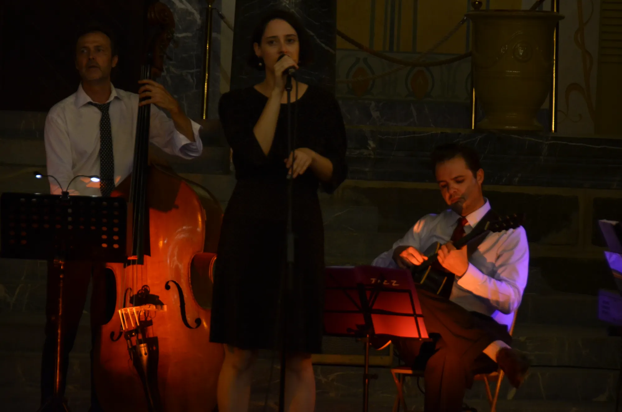 La chanteuse de l’orchestre au micro, entre la contrebasse et la guitare.