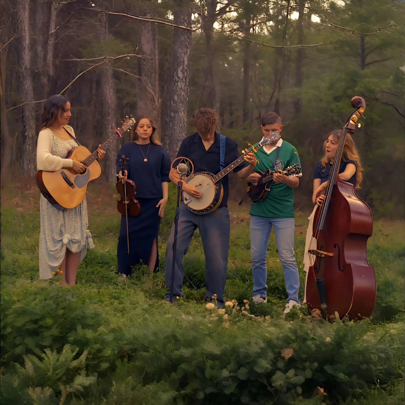 Un ensemble à cordes joue en plein air, en lisière de forêt